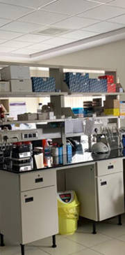 Gallery Infrastructure